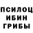 Галлюциногенные грибы Psilocybine cubensis Evdokia Selevko